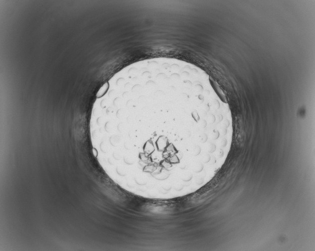 X0000116620563201001221342