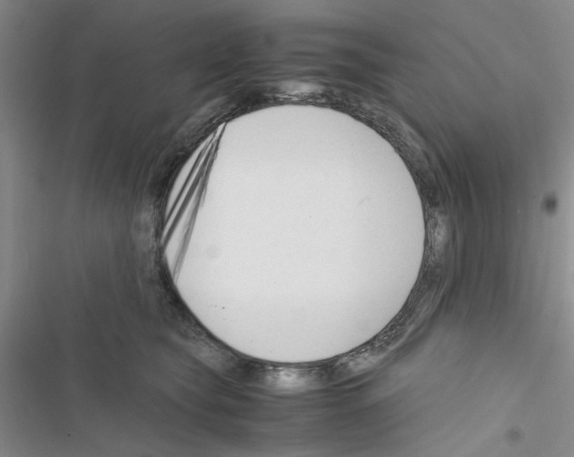 X0000116620565201001221342