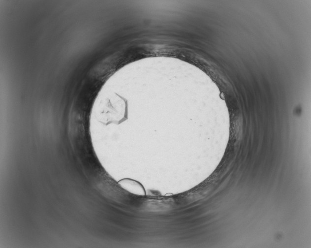 X0000116620571201001221342