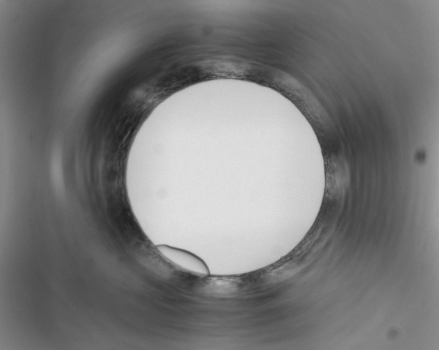 X0000116620573201001221342