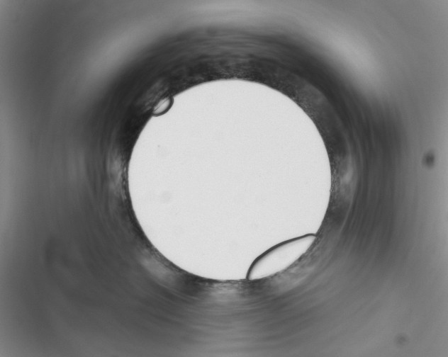 X0000116620574201001221342