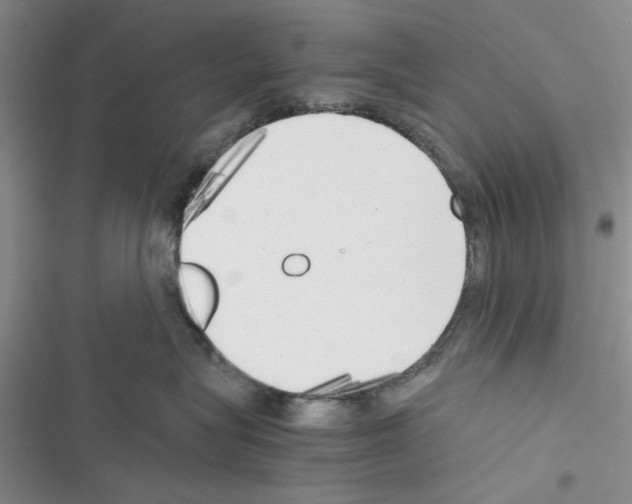 X0000116620575201001221342