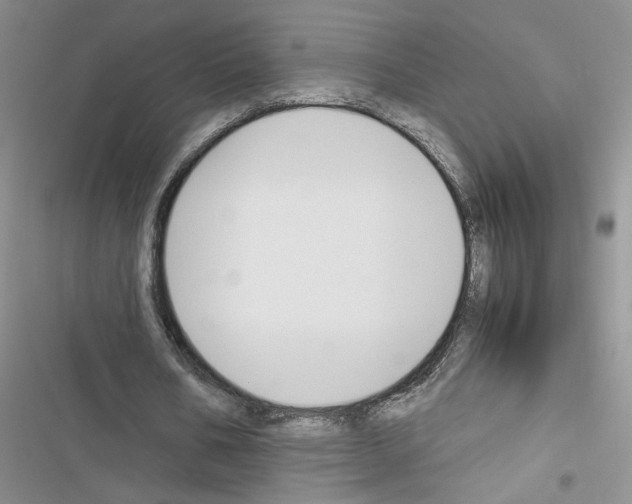 X0000116620578201001221342
