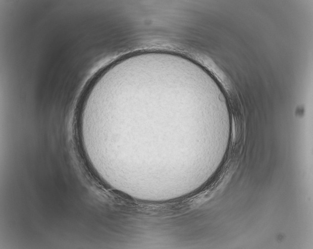 X0000116620579201001221341