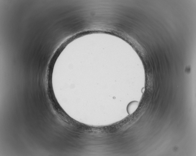X0000116620580201001221341