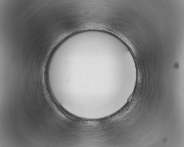 X0000116620581201001221341