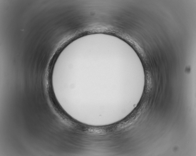 X0000116620582201001221341