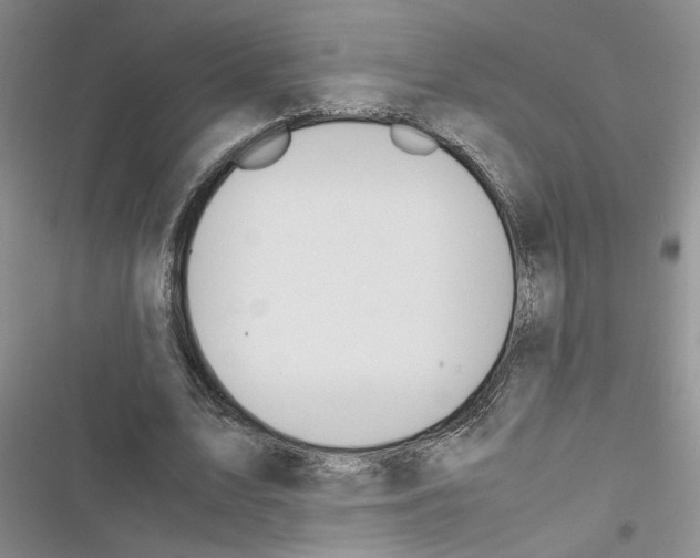 X0000116620583201001221341