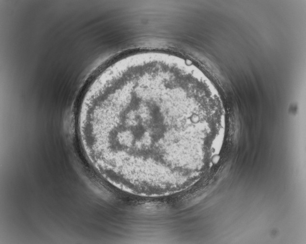X0000116620584201001221341