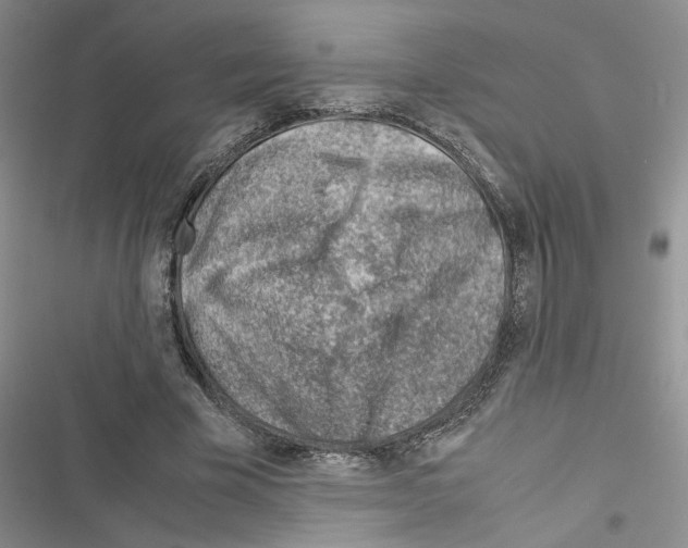 X0000116620585201001221341