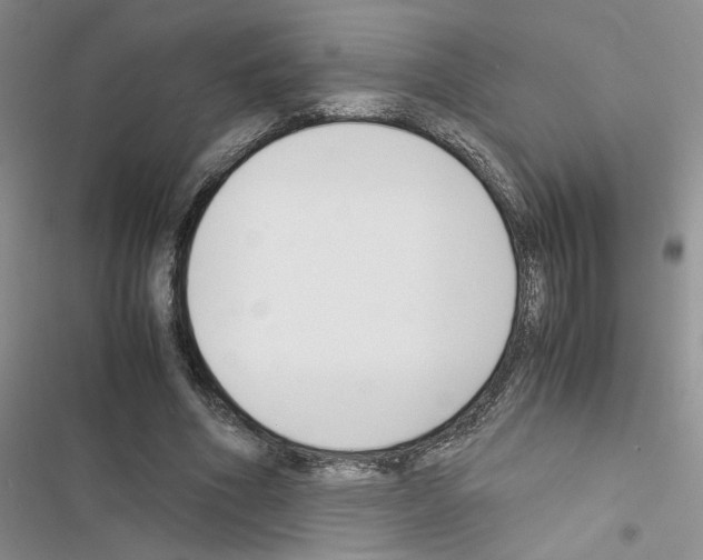 X0000116620586201001221341