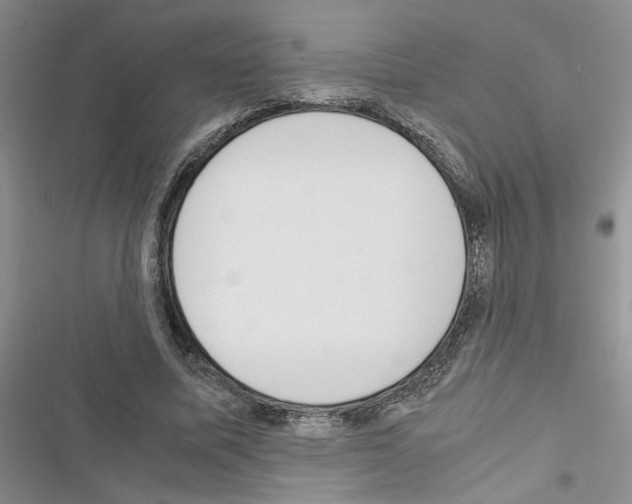 X0000116620587201001221341