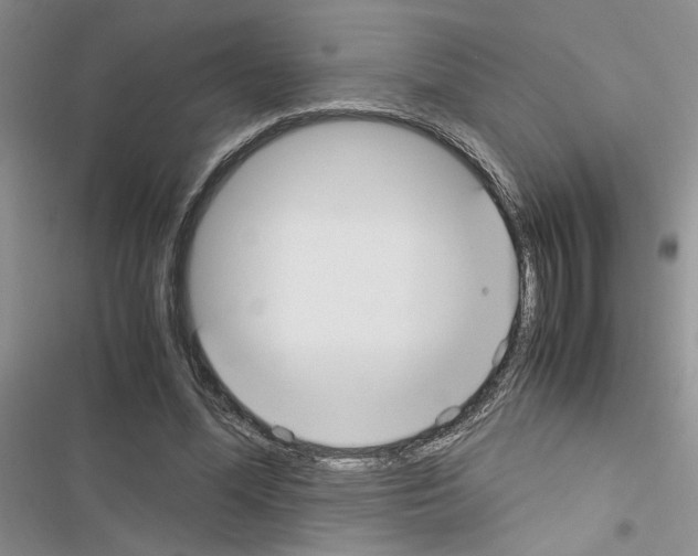 X0000116620588201001221341