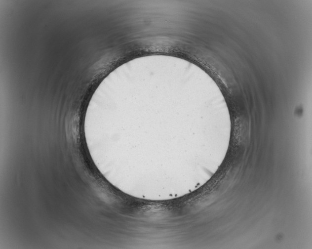 X0000116620589201001221341