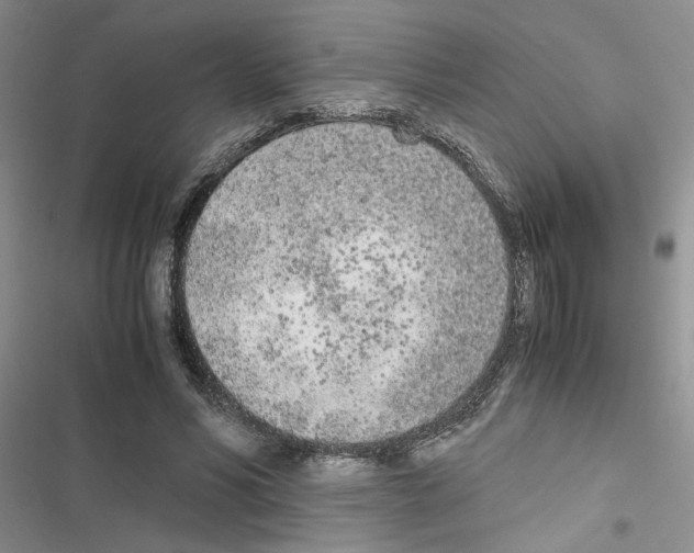 X0000116620590201001221341