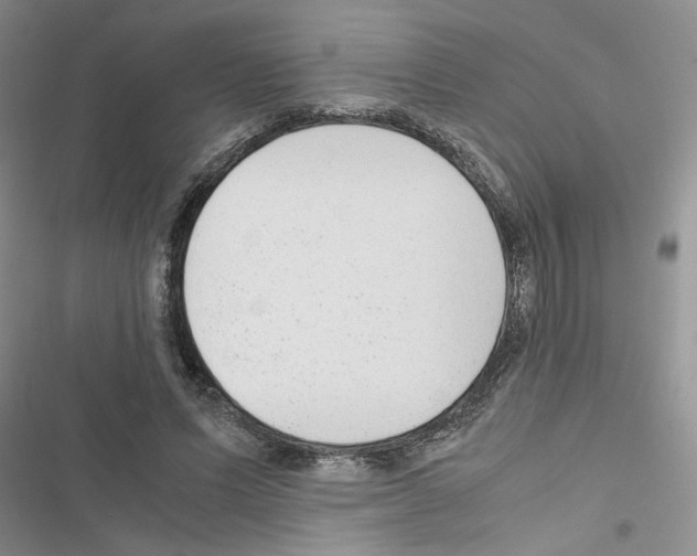 X0000116620591201001221341