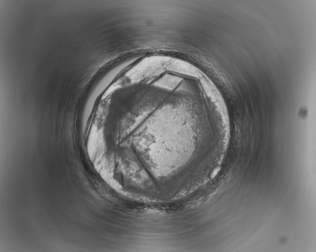 X0000116620592201001221341