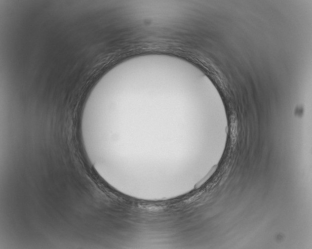 X0000116620593201001221341