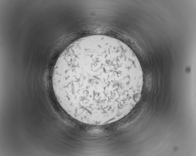 X0000116620594201001221341