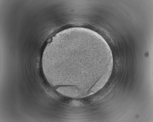 X0000116620596201001221341