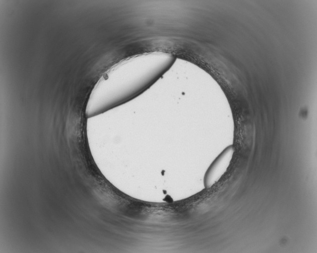 X0000116620597201001221341