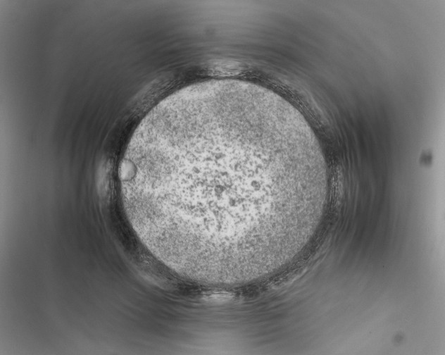 X0000116620598201001221341