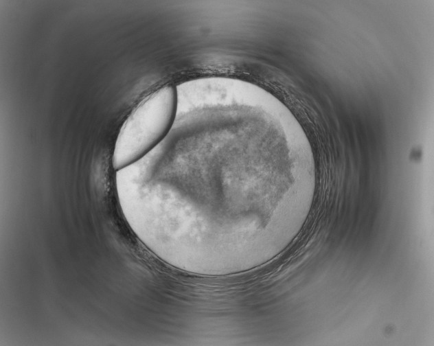 X0000116620600201001221341