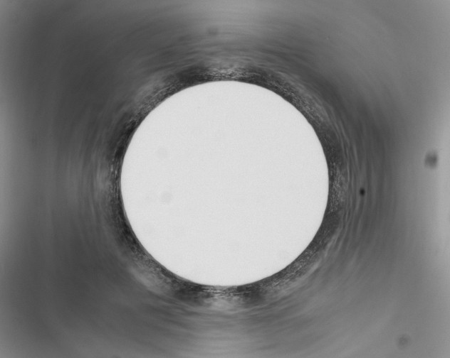 X0000116620601201001221341