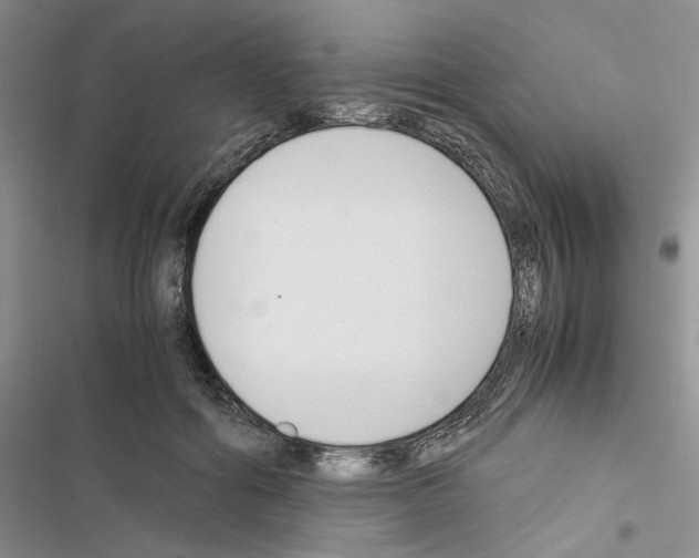 X0000116620602201001221341