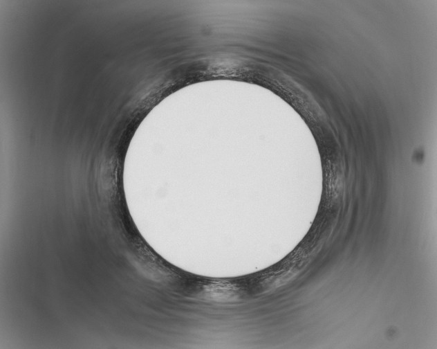 X0000116620603201001221341