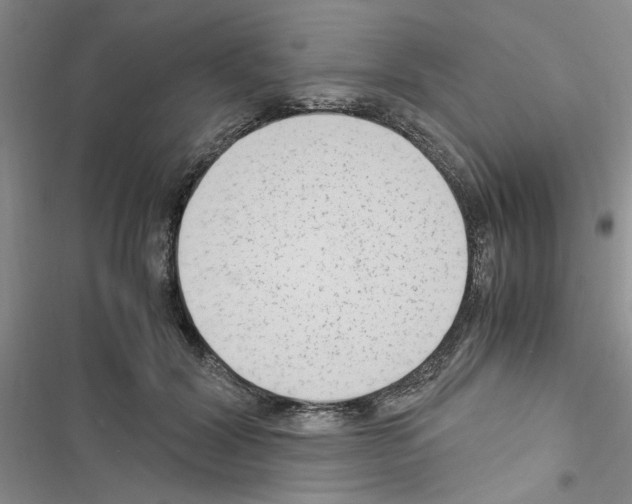 X0000116620604201001221341