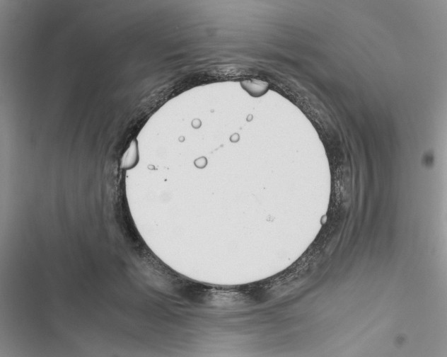 X0000116620605201001221341