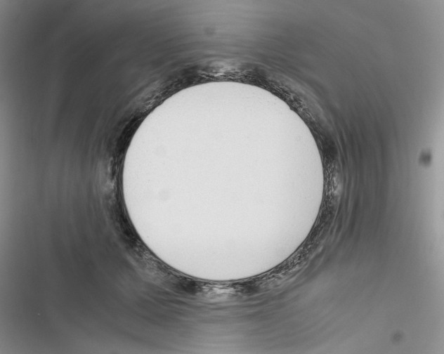 X0000116620607201001221341