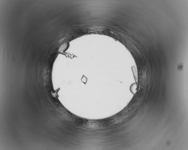 X0000116620608201001221341