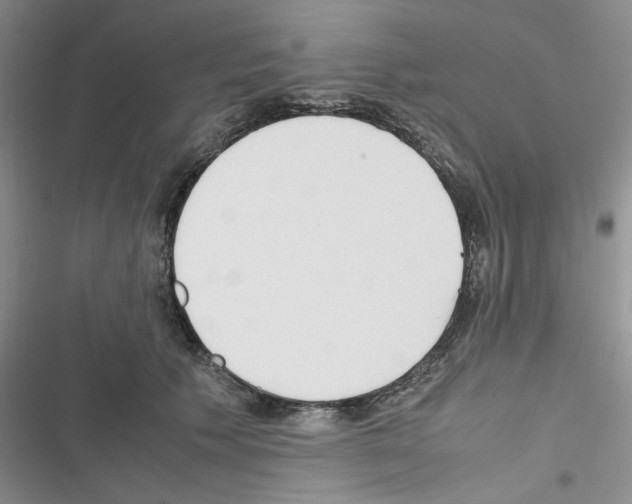 X0000116620609201001221341