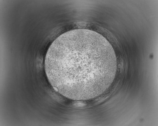 X0000116620610201001221341