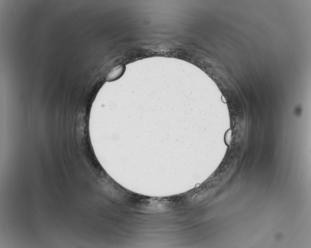 X0000116620612201001221341