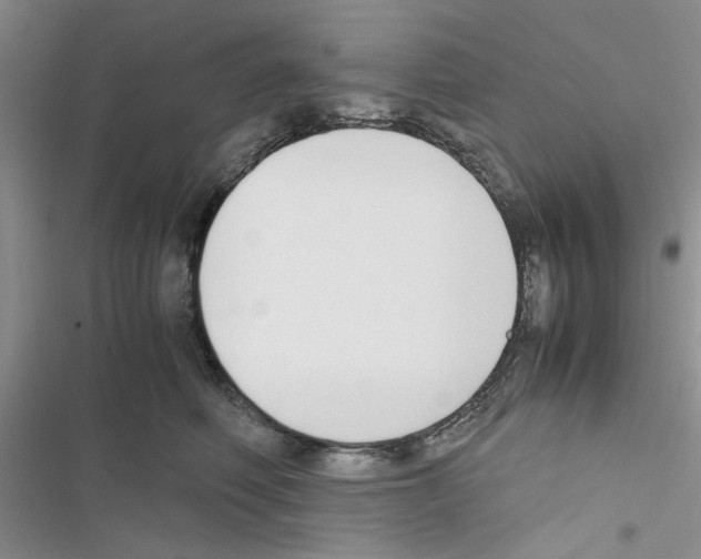 X0000116620614201001221341