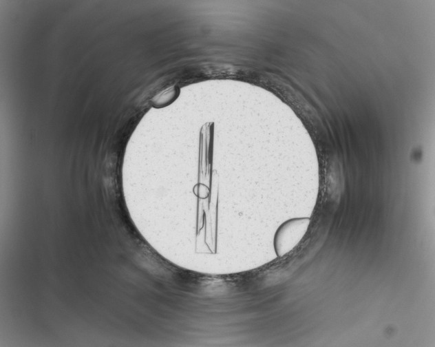 X0000116620616201001221341