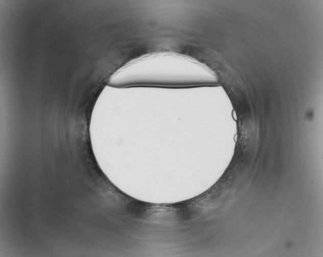 X0000116620617201001221341
