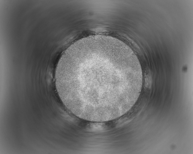 X0000116620618201001221341