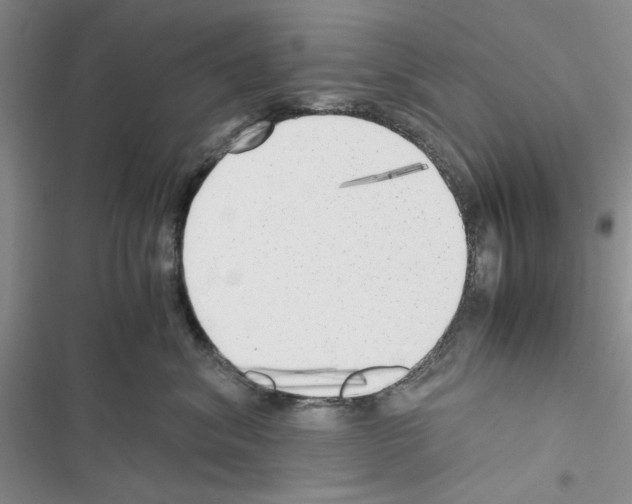 X0000116620620201001221341