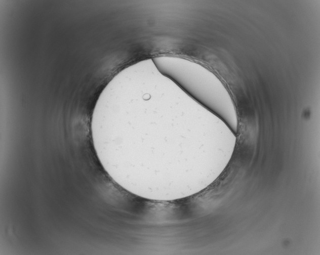 X0000116620621201001221341