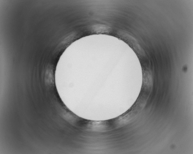 X0000116620622201001221341