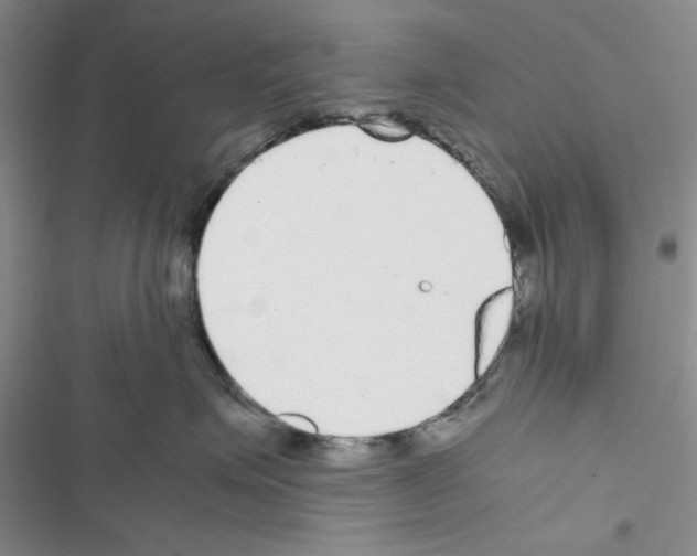 X0000116620623201001221341