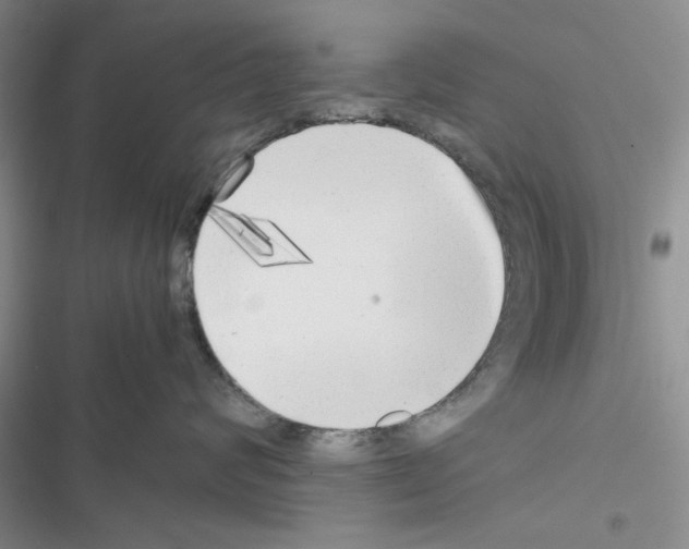 X0000116620624201001221341