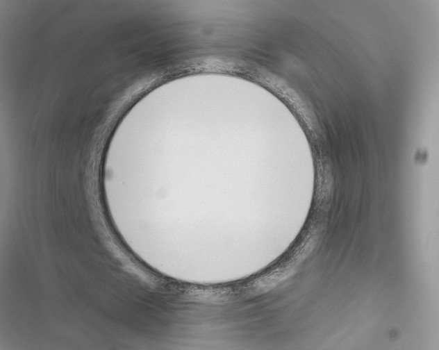 X0000116620625201001221340