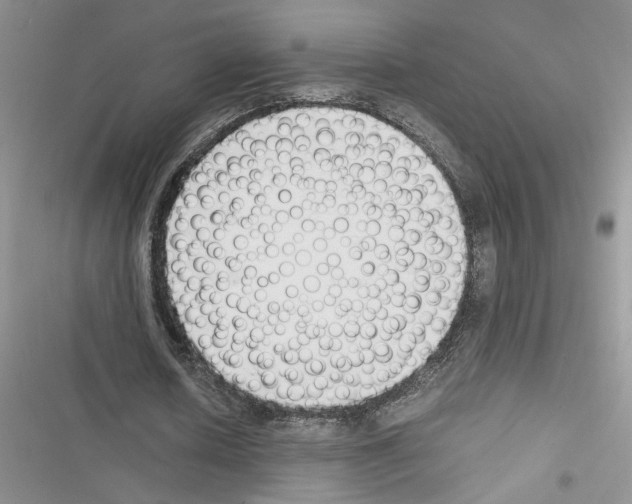 X0000116620626201001221340