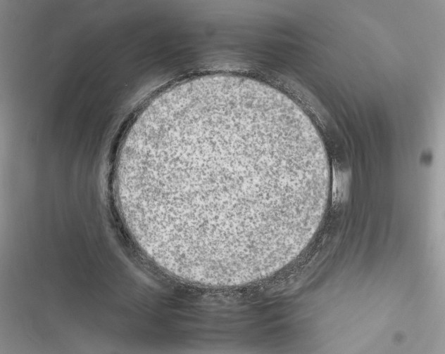 X0000116620627201001221340