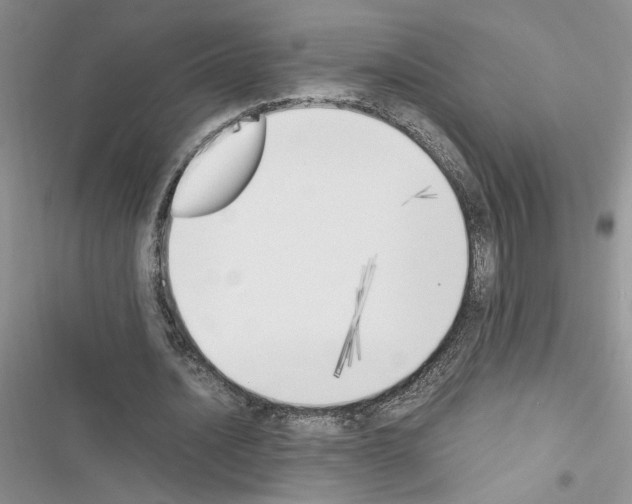 X0000116620628201001221340